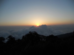 ThirdCoastDaily.com | Darjeeling, Steeped in Quiet Beauty