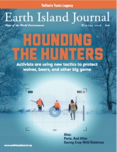 Earth Island Journal  |  Wild at Heart