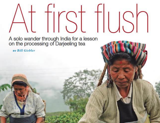 Doctor’s Review Magazine  |  At First Flush